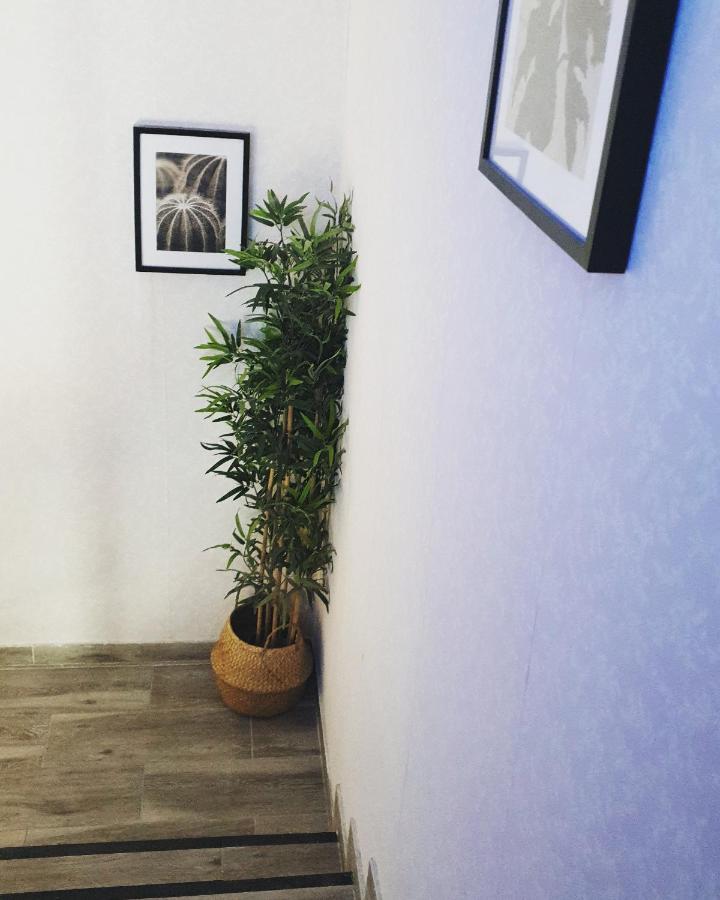 Alojamiento Weier La Cistérniga Zewnętrze zdjęcie